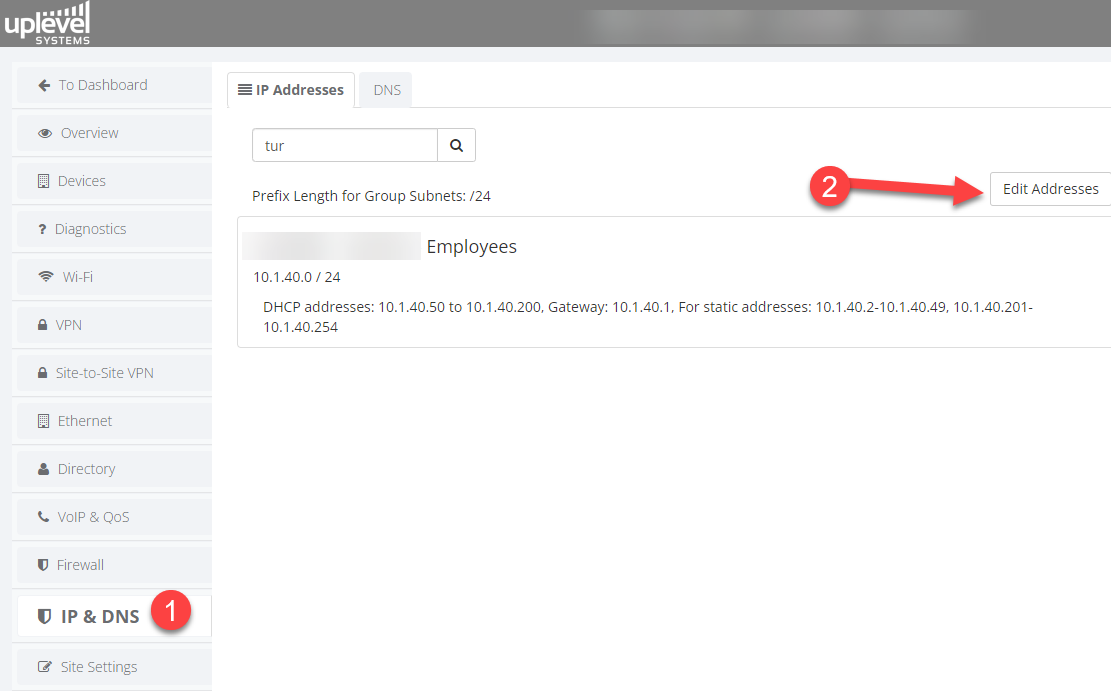 IP & DNS page showing the IP Address tab